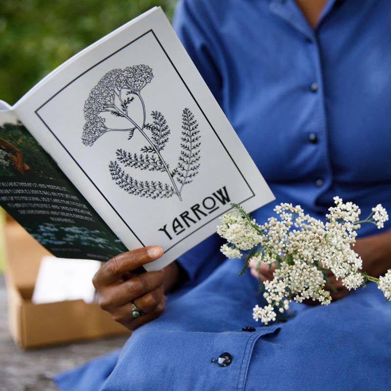 Herbal Zines by Kathi Langelier