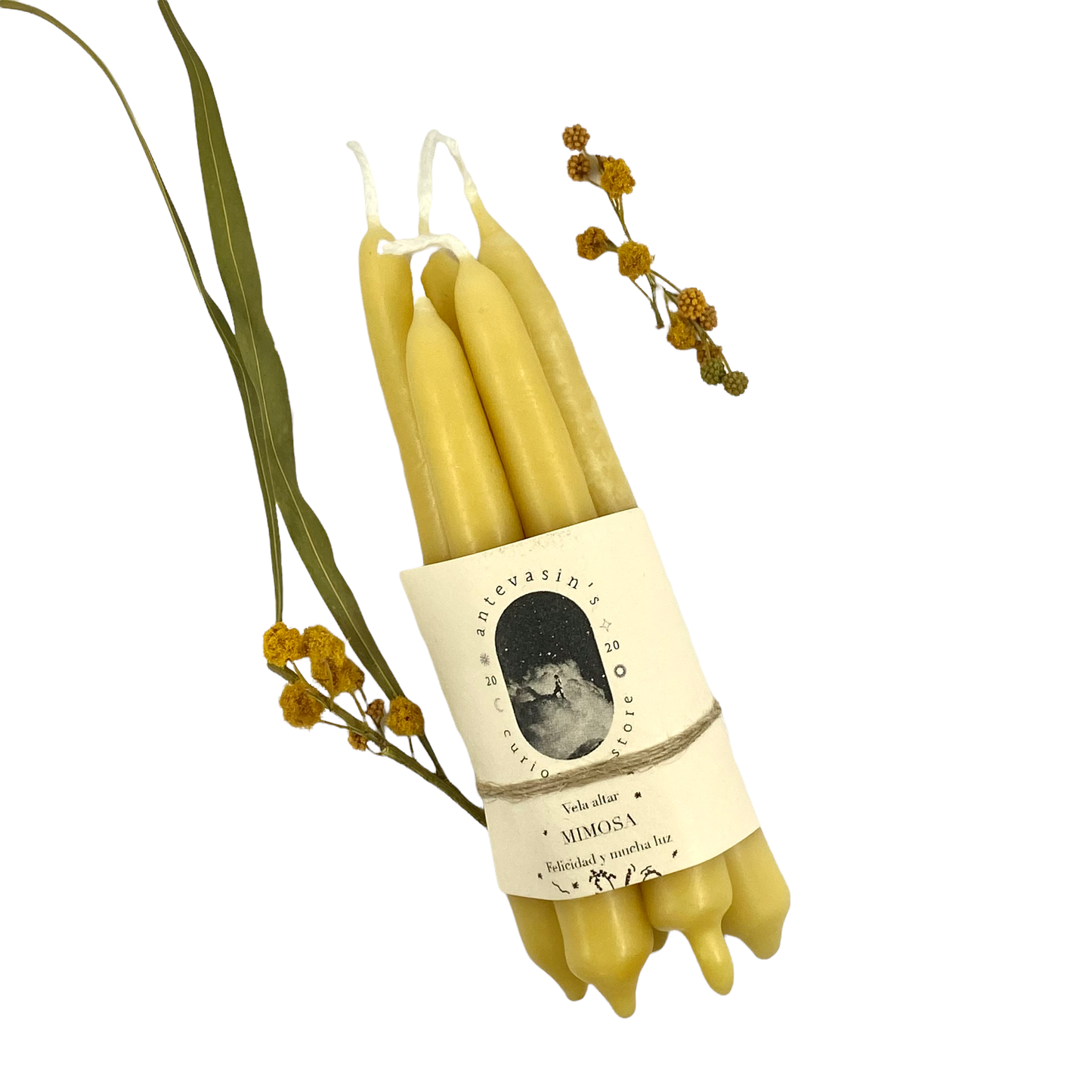 Mimosa Ritual Candle: Happiness + Joy