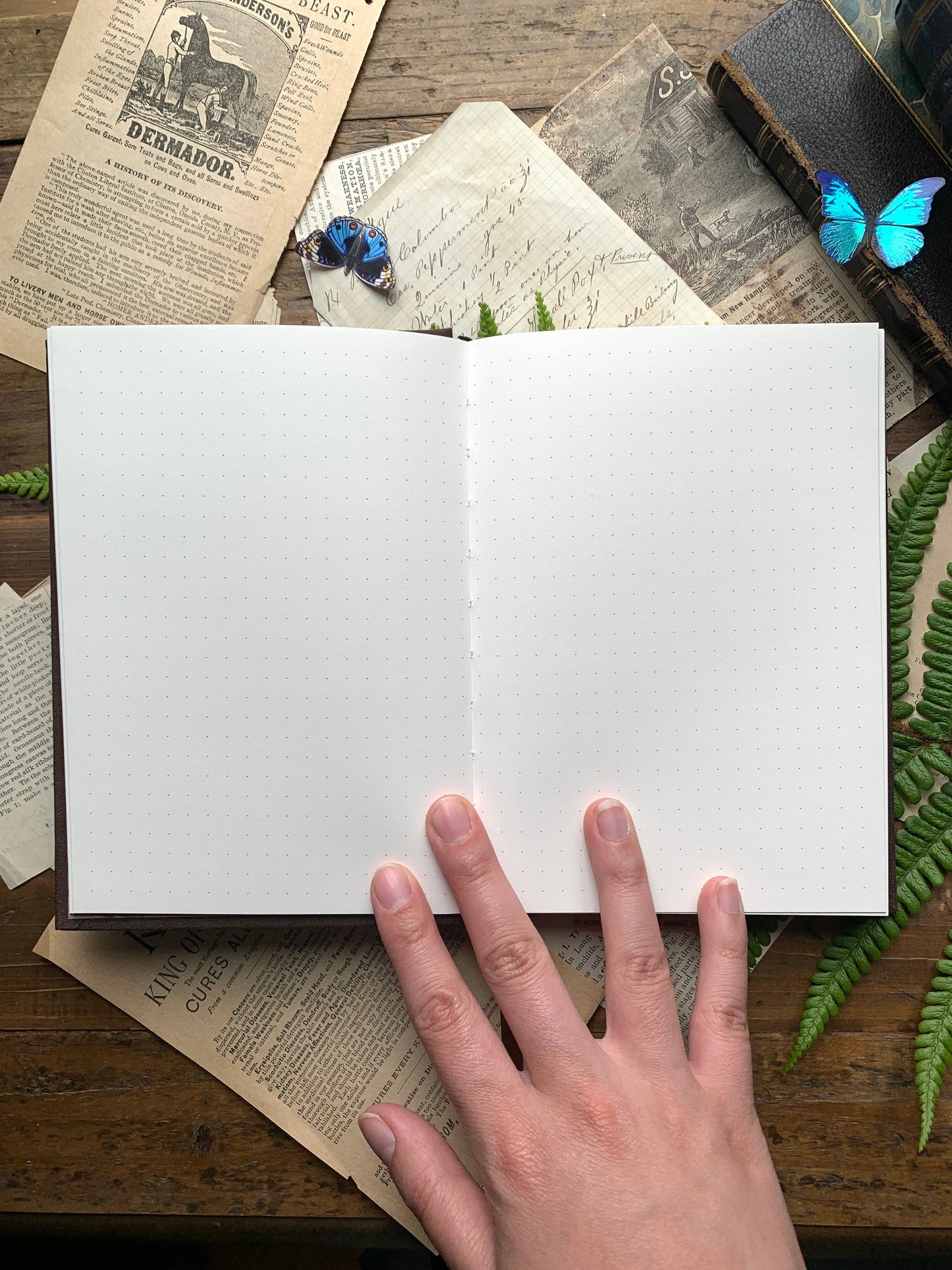 The Wanderer Dot Notebook