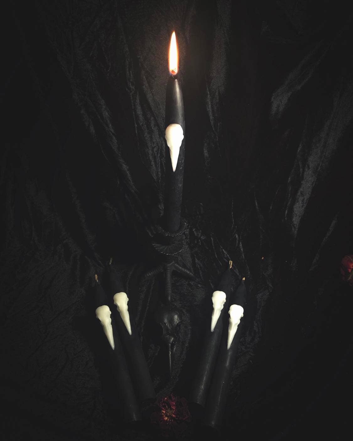 The Messenger: Crow Skull Beeswax Taper Candle