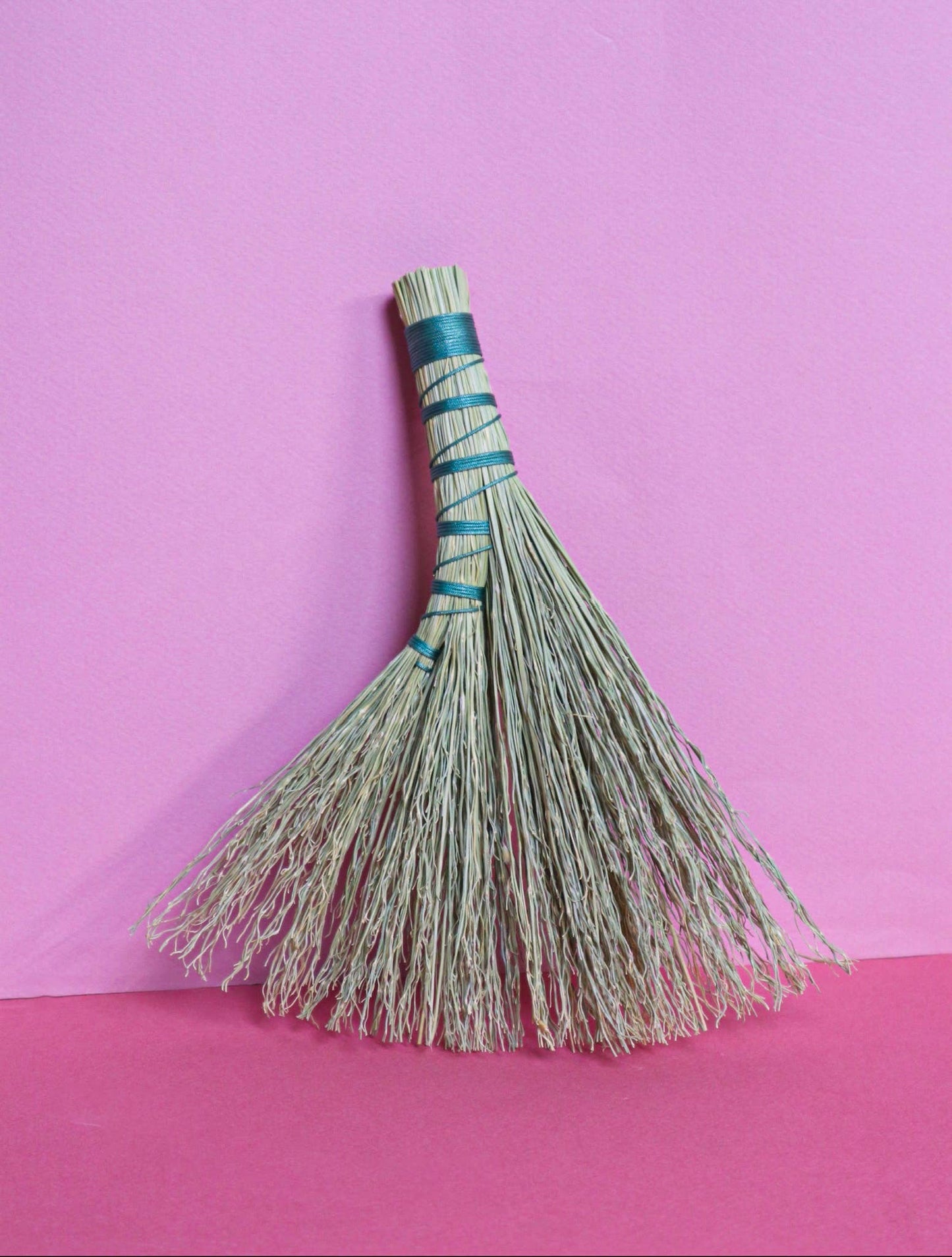 Mini Whisk Broom