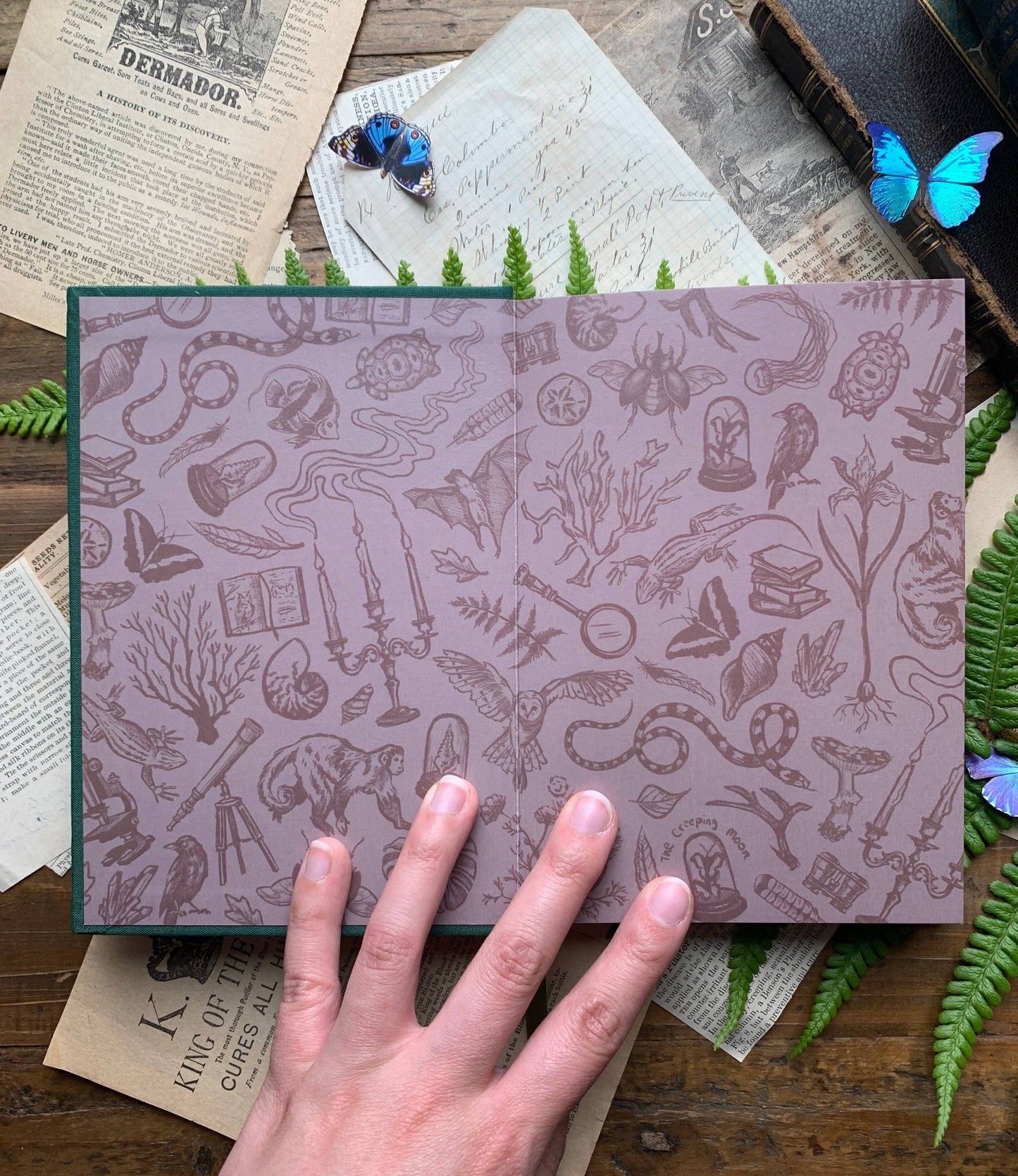 The Botanist Watercolor Sketchbook