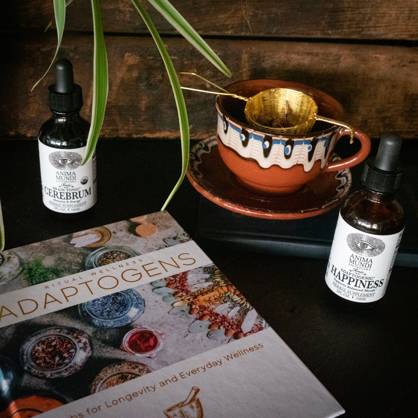 Adaptogens: Herbs for Longevity + Everyday Wellness Book