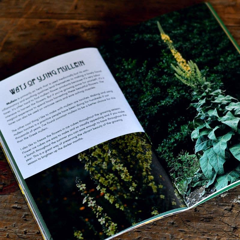 Herbal Zines by Kathi Langelier