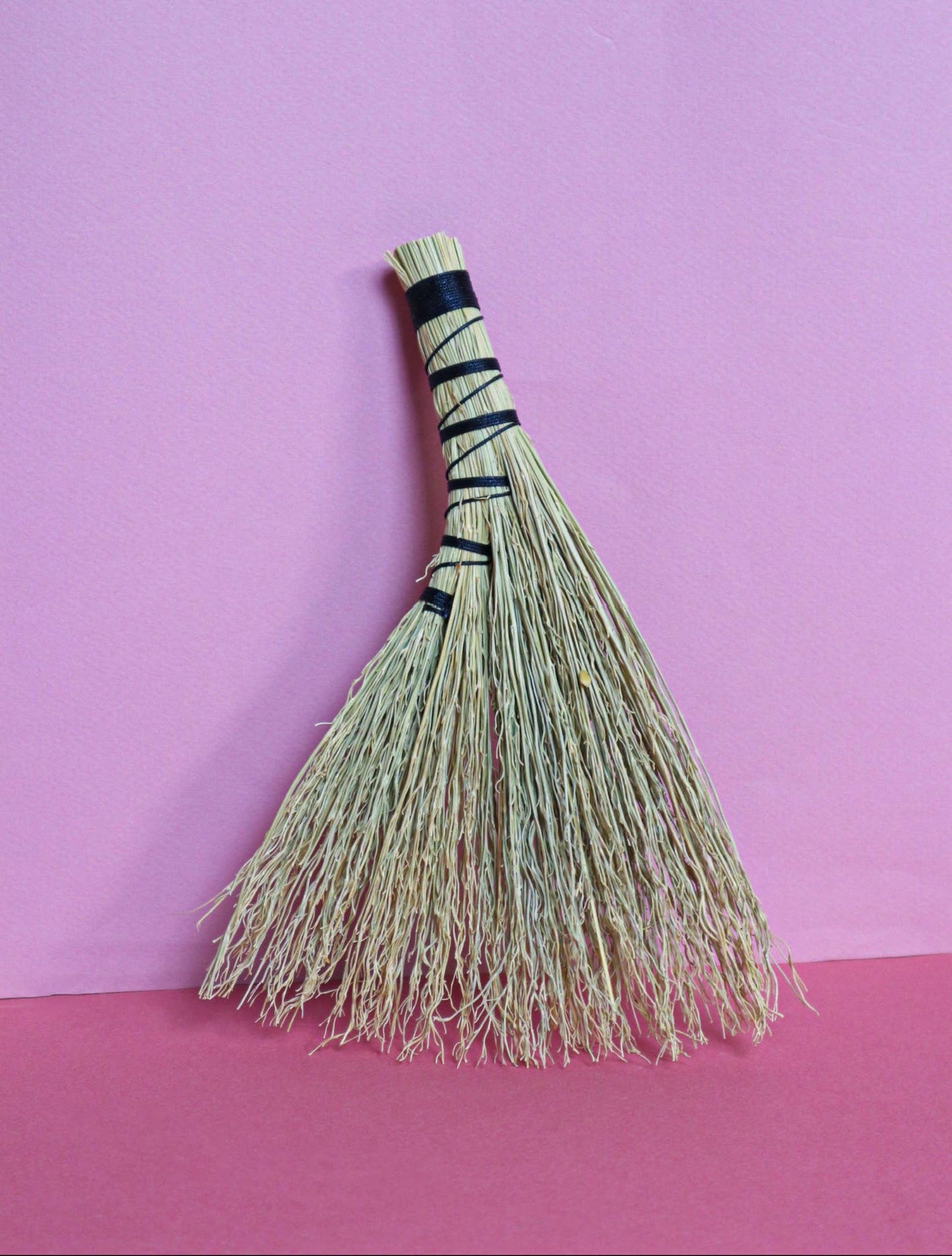 Mini Whisk Broom