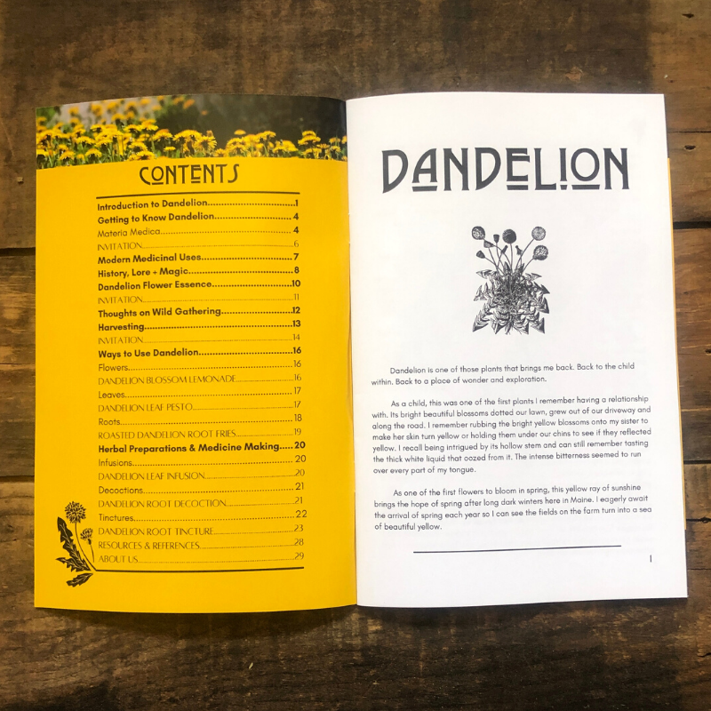 Herbal Zines by Kathi Langelier