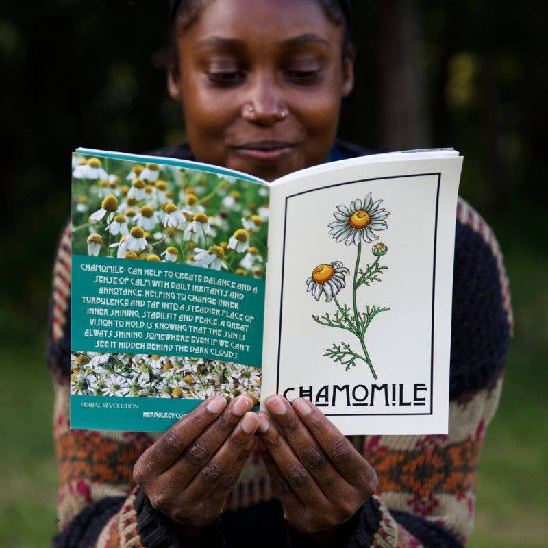 Herbal Zines by Kathi Langelier