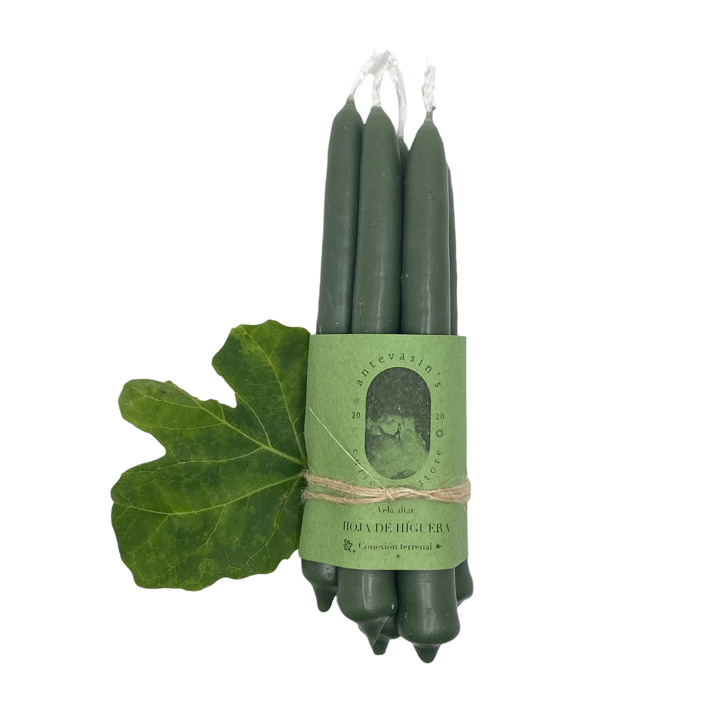 Fig Ritual Candle: Green Magic