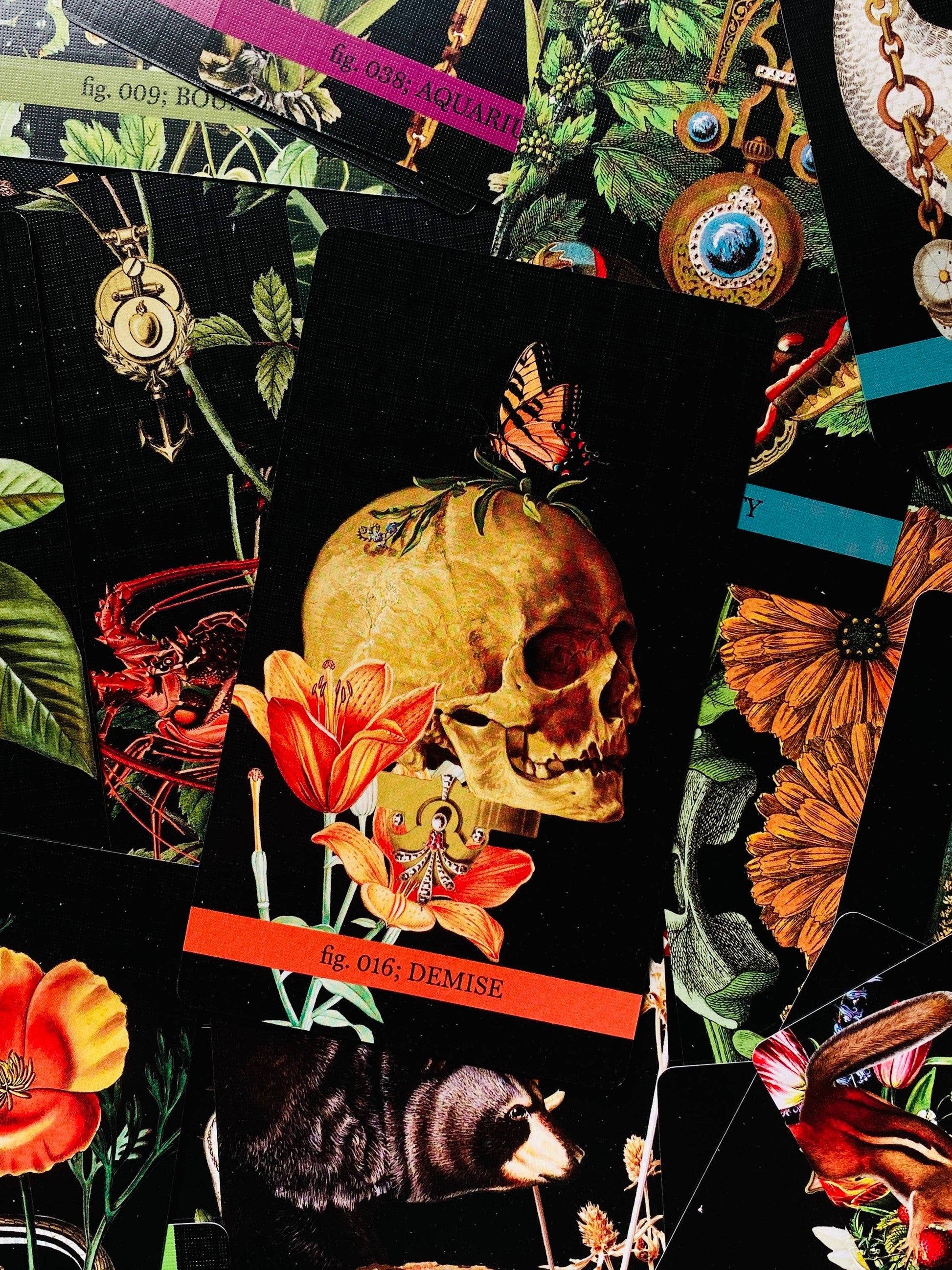 Collage of a skull, flowers, and butterflies with text on a dark background