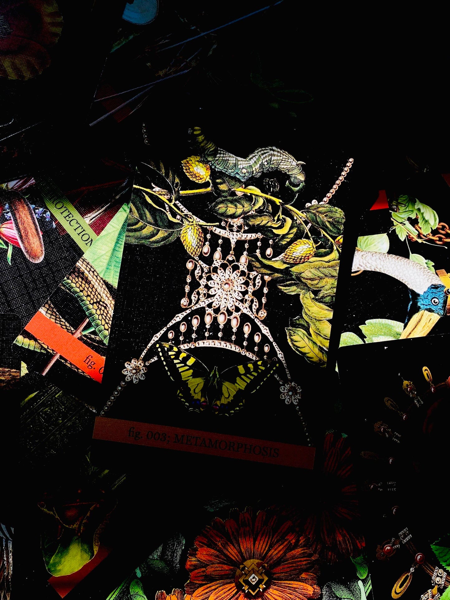 Decorative brooch with caterpillar and butterflies on a dark background with tarot cards.