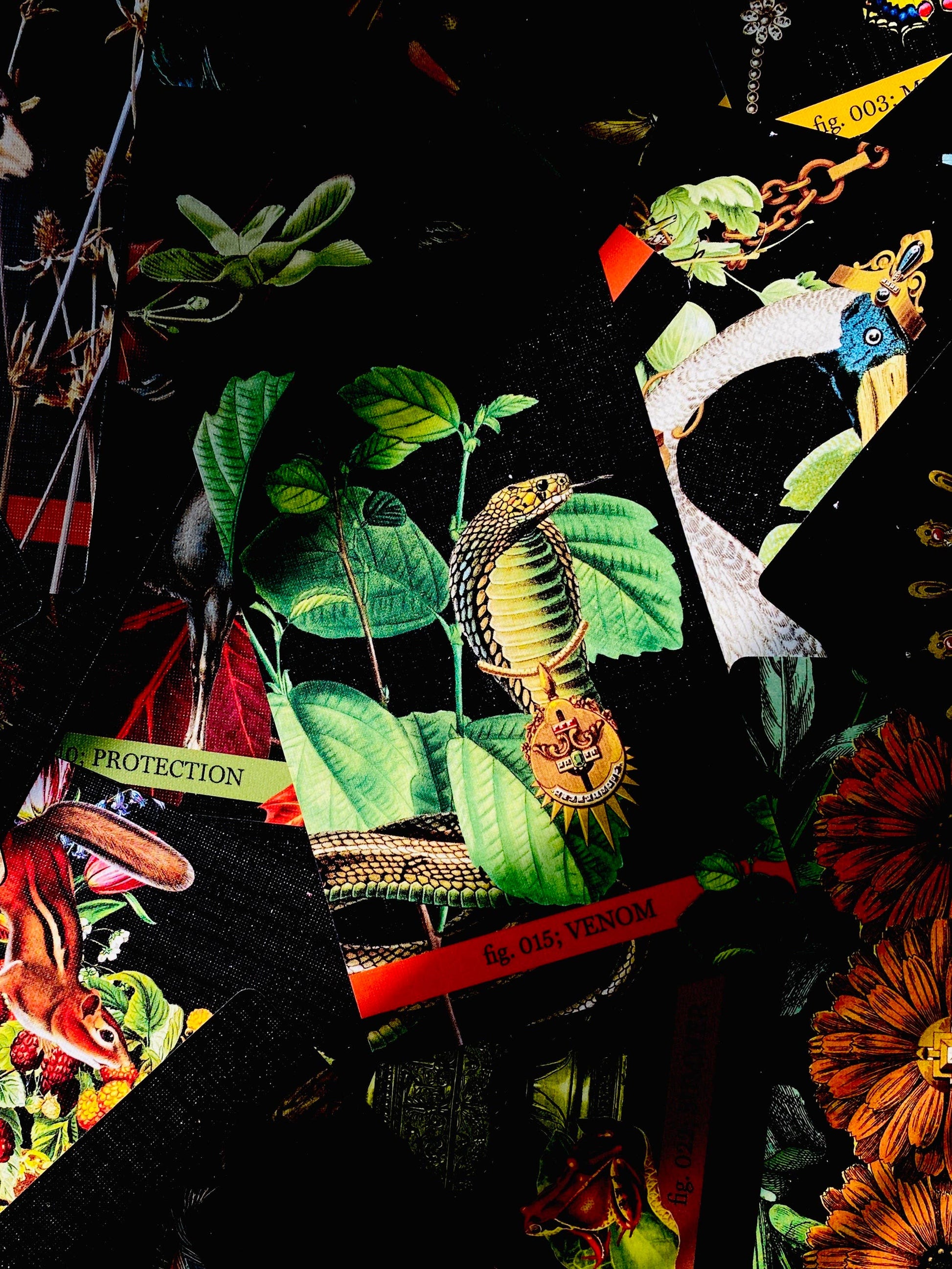 Colorful tarot card with snake and leaves on a black background