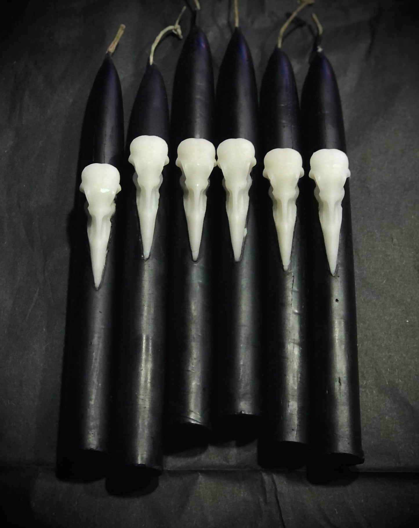 The Messenger: Crow Skull Beeswax Taper Candle