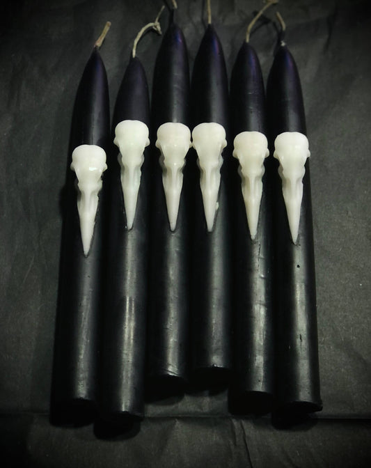 The Messenger: Crow Skull Beeswax Taper Candle