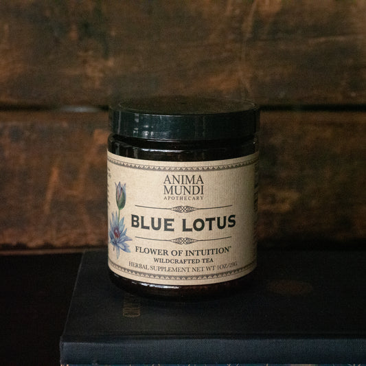 Blue Lotus Wildcrafted Tea: Flower of Intuition