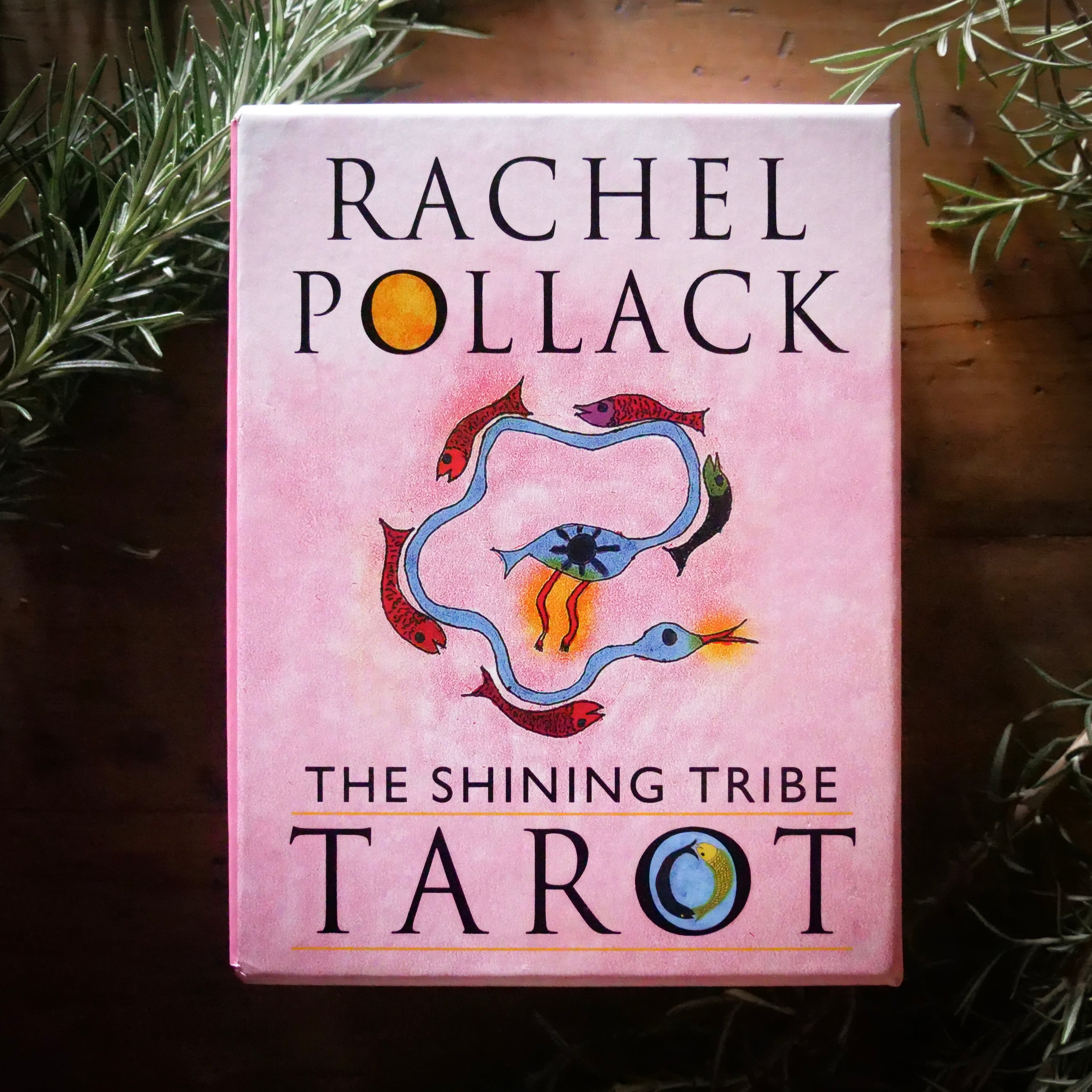 Rachel Rousseau Oracle Tarot + Oracle – The Vacant Seat