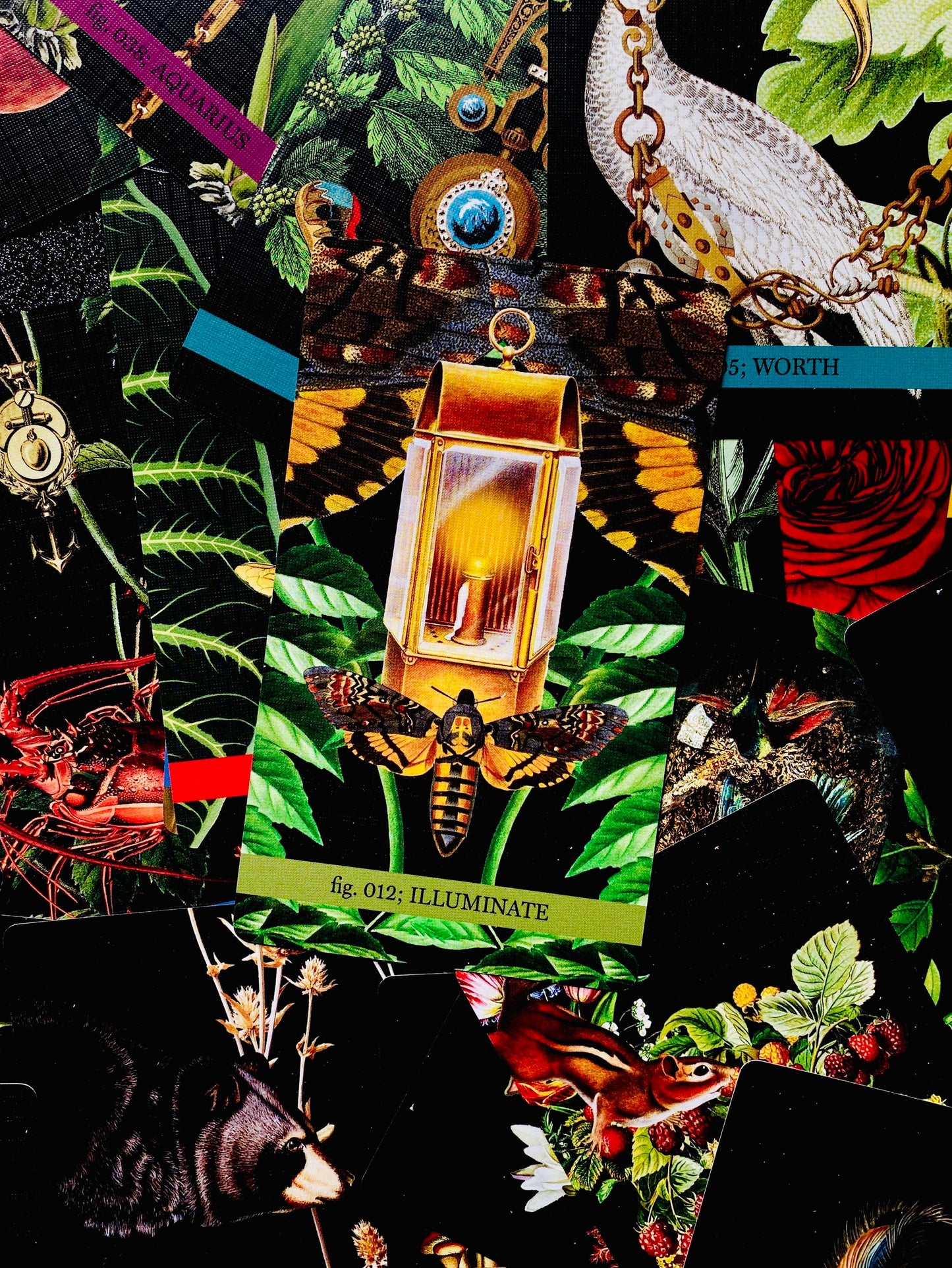 Collage of decorative items including a lantern, flowers, and jewelry on a dark background.