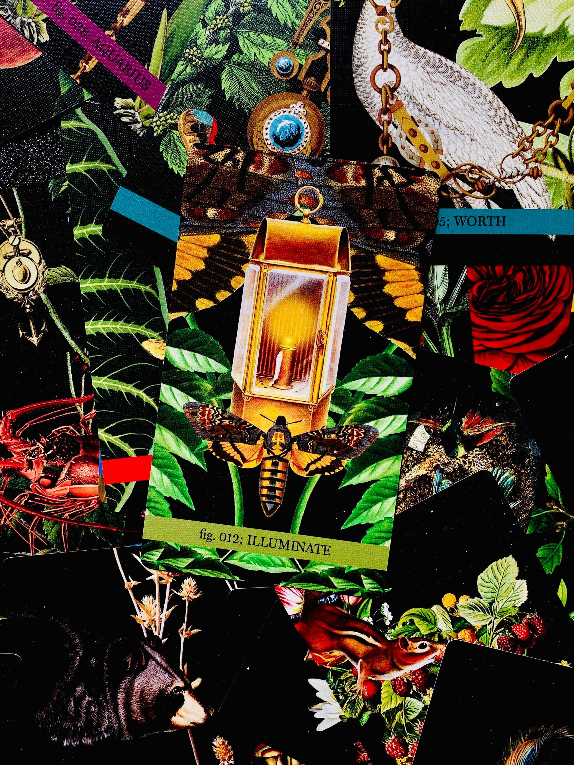 Collage of decorative items including a lantern, flowers, and jewelry on a dark background.