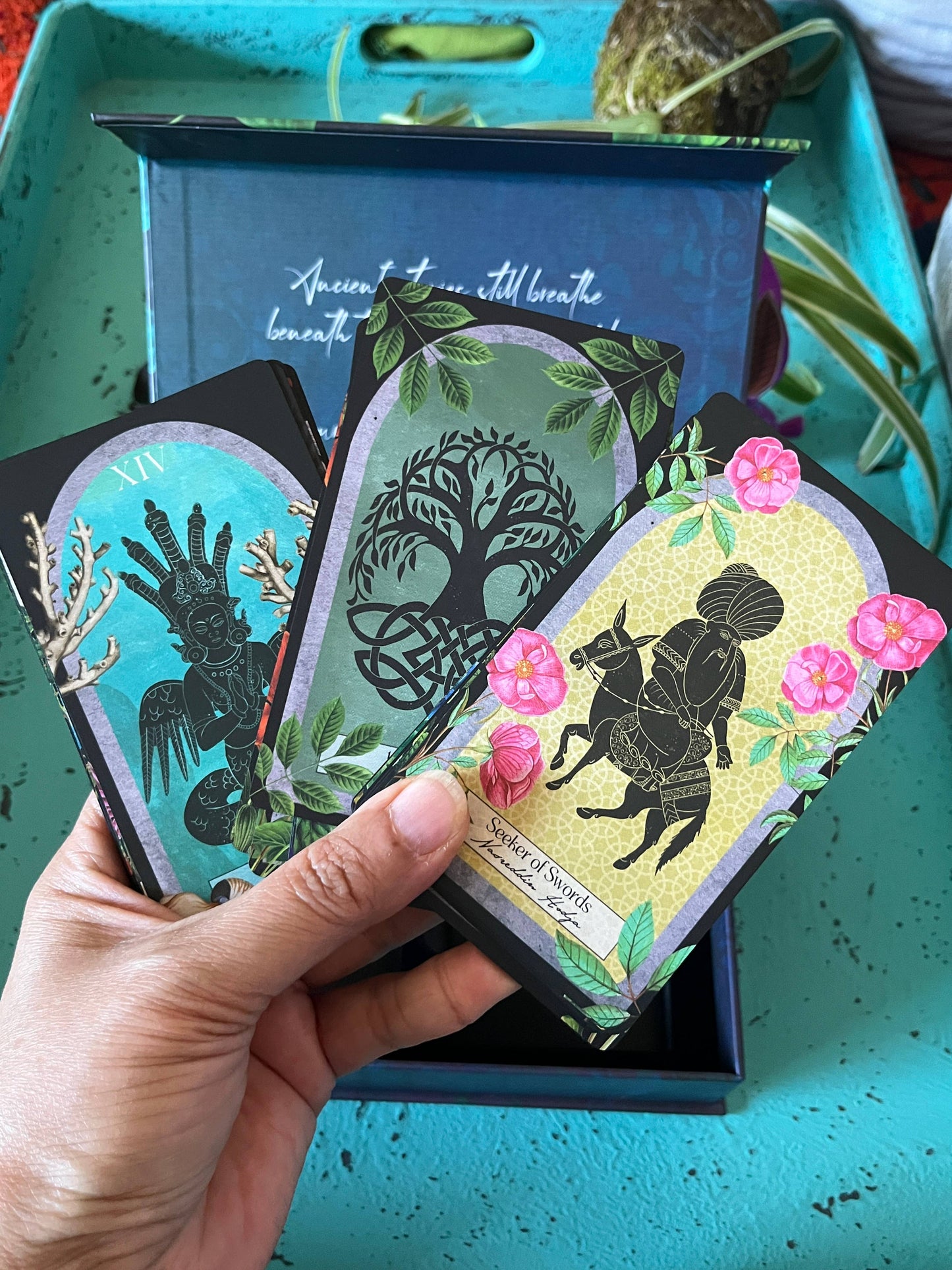 Hand holding tarot cards with artistic designs and text, against a teal background.