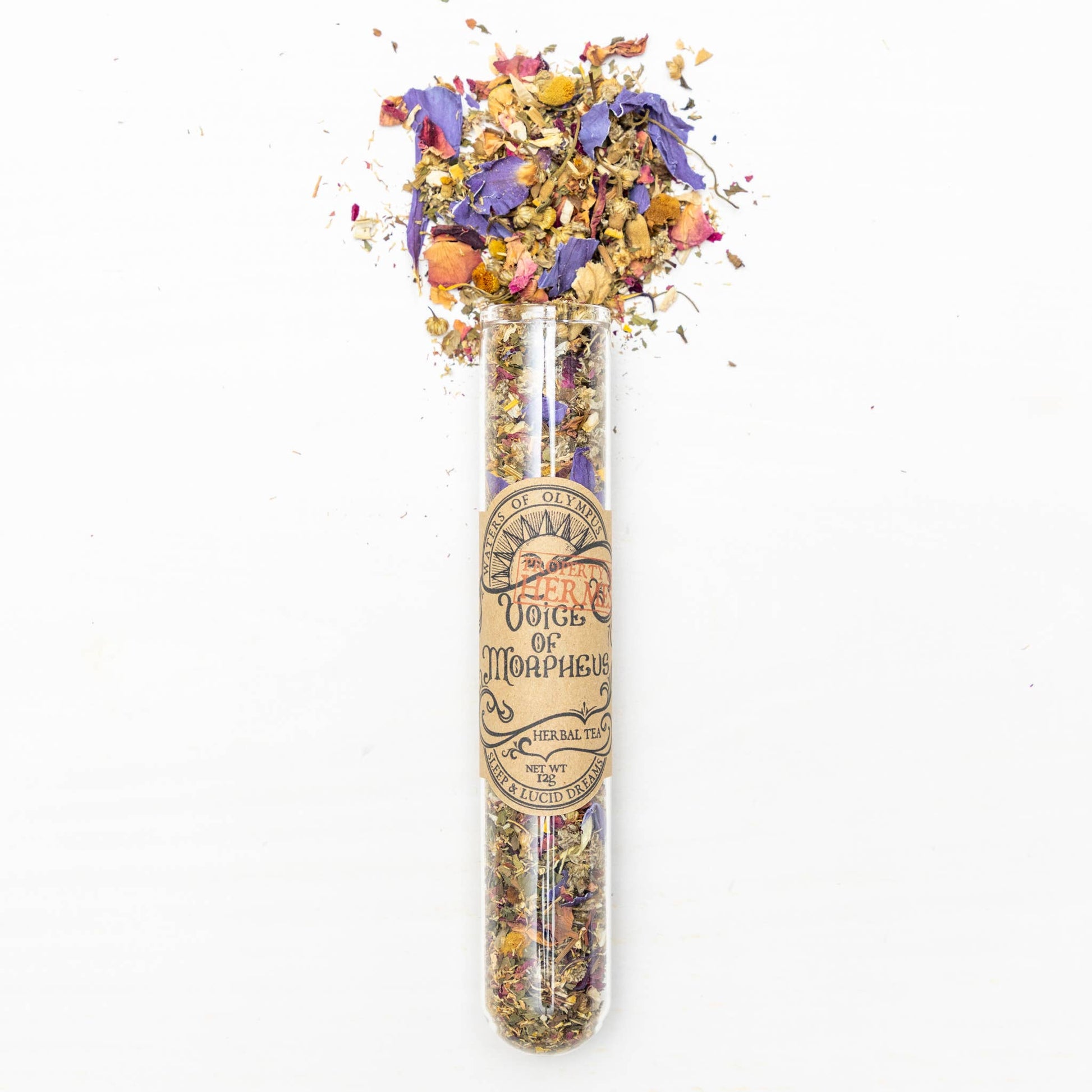 Decorative test tube with dried flowers and herbs on a white background