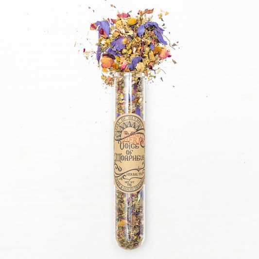 Decorative test tube with dried flowers and herbs on a white background