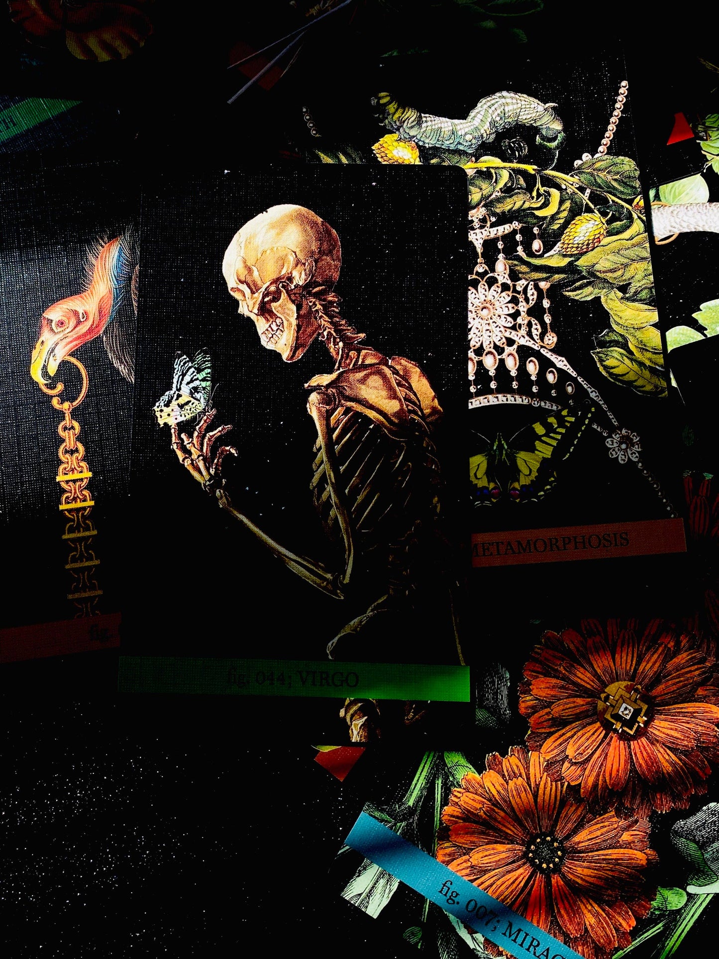 Collage with a skeleton, flowers, and other elements on a dark background