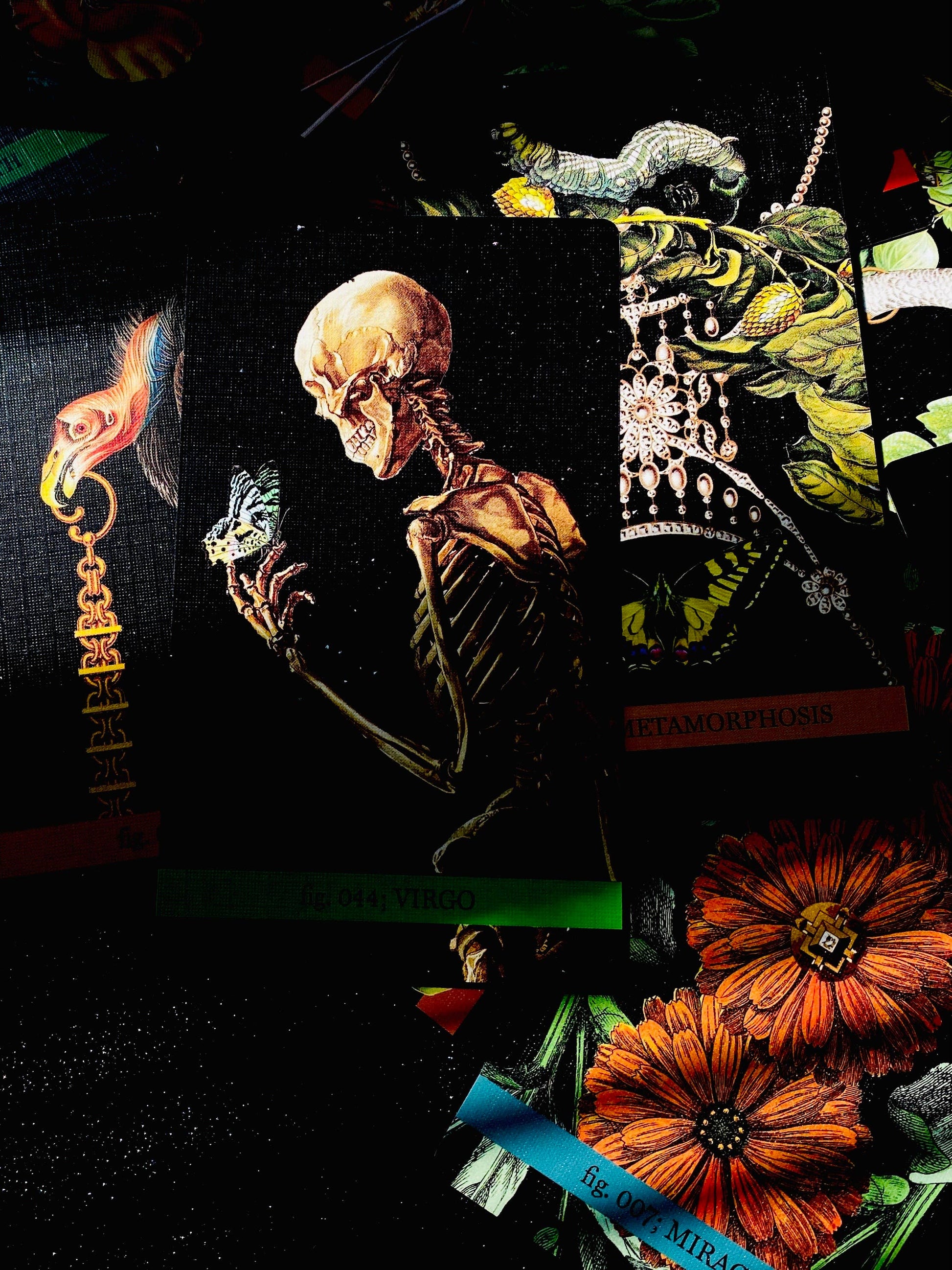 Collage with a skeleton, flowers, and other elements on a dark background