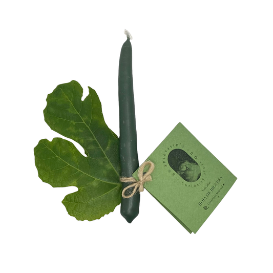 Fig Ritual Candle: Green Magic